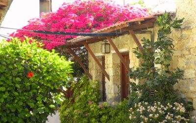 Eating out – Pissouri Village