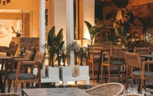 Alea Bar, looking in from outside - tables and chairs, ambient lighting and plants.