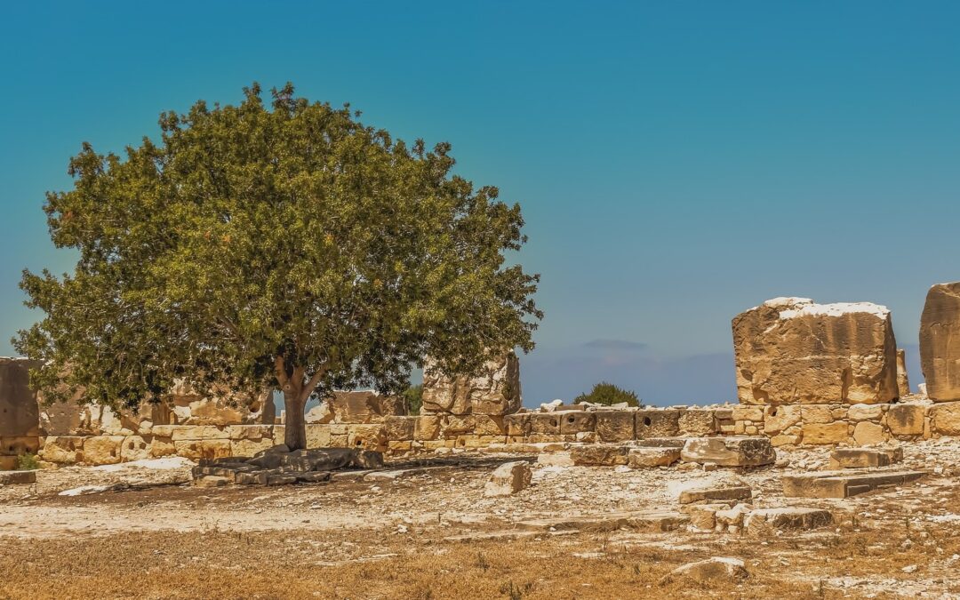 About – Kouklia Village