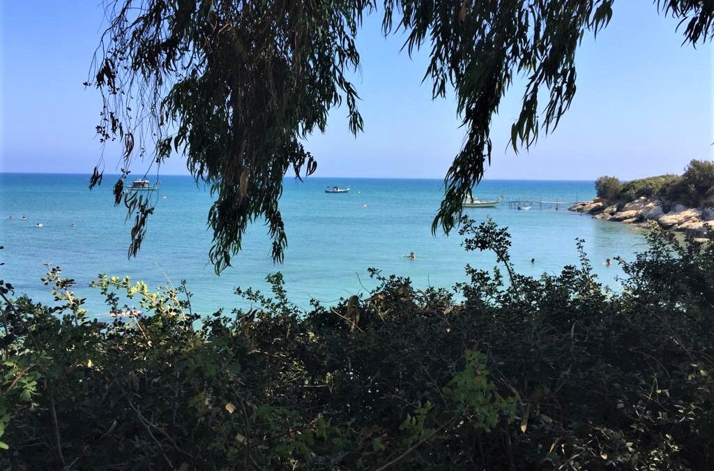 Eating out – The Surrounding Areas