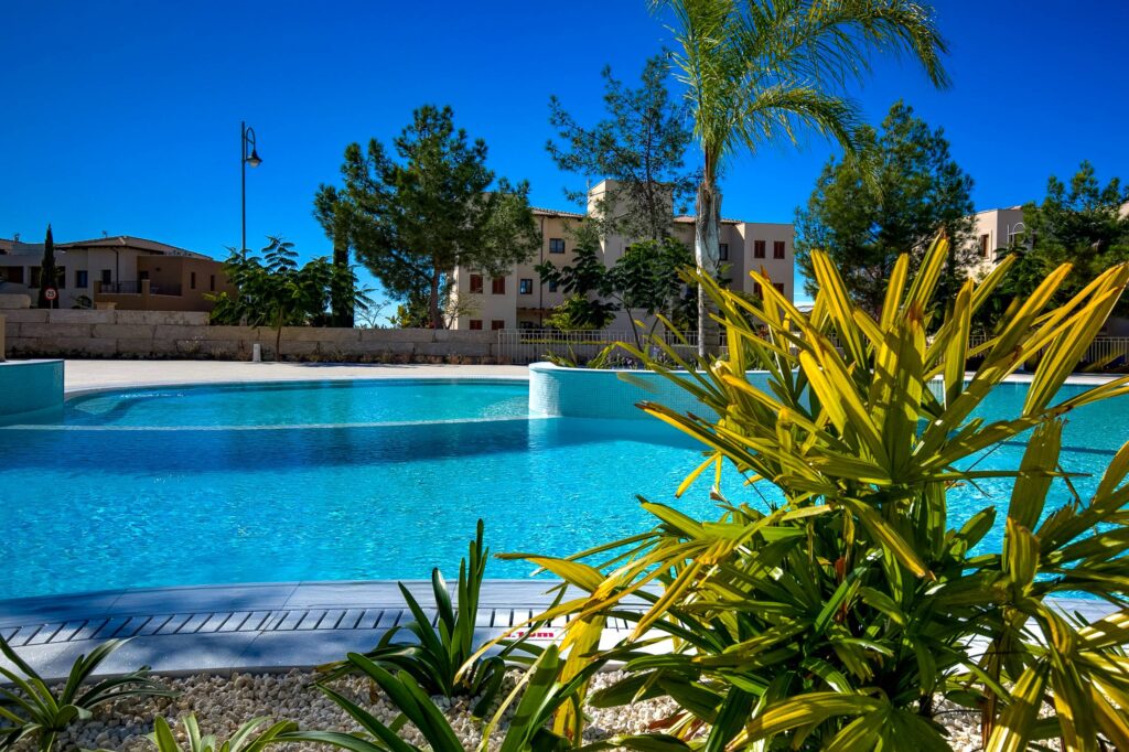 Photograph of a communal pool, with plant in the foreground and apartment blocks in the background.